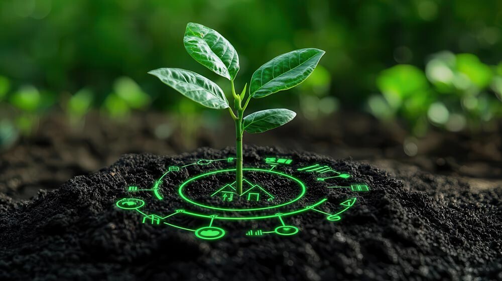 Conseil en création d'entreprise {{localite_seo}}